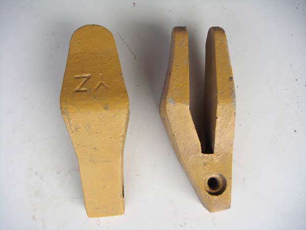 岩石斗齿根.jpg